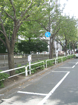 駐車場の様子